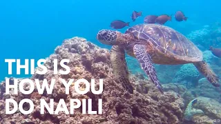 Napili Bay Guide with a Hidden Turtle Cove Surprise (our staycation!)