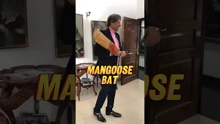Mangoose Bat Kyu Use Nahi Karte Hai ? Mangoose Kya Hota hai ? Kapil Dev Mangoose Bat #shorts
