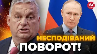 Ніхто не чекав! Угорщина ШОКУВАЛА рішенням Україну / В кабінеті Путіна вже істерика