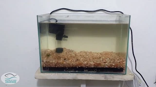 51- filtragem básica para um pequeno aquário