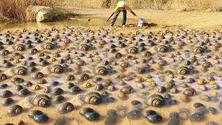 wow amazing fishing! a fisherman skill catch big snail a lots come in the lake