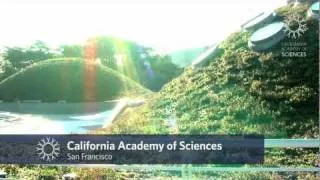Travel to California Academy of Sciences
