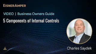 What are the 5 Components of Internal Controls