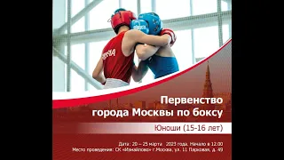 Первенство Москвы по боксу среди юношей 15-16 лет
