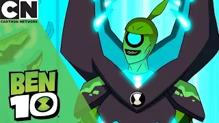 Ben 10 | Wildvine's Epic Upgrades | Cartoon Network