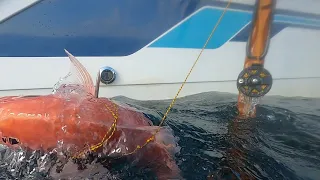 Freediving 40 Miles Offshore With The Sims Brothers and Capt. Tyler