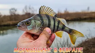 МОРМЫШИНГ в феврале! Судачки и окуни на МОРМО! Отличная ПРИМАНКА!