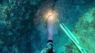 spearfishing in israel.