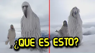 Los Pájaros Blancos de la Antartida | Opium Birds la verdad