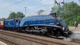 60007 Sir Nigel Gresley with Steam Dreams to Chester at Northampton.