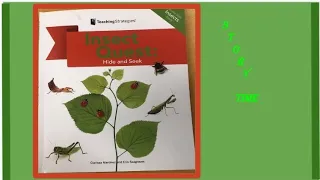 Insect Quest:  Hide and Seek  - Read Aloud