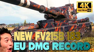 NEW FV215b 183 EU DAMAGE RECORD - World of Tanks