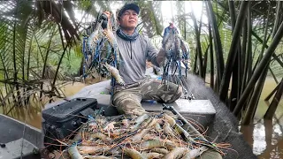 INILAH CARA MEMANCING UDANG GALAH DI POKOK NIPAH  #prawnfishing #shrimpfishing