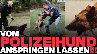 Vom Polizeihund anspringen lassen | POLIZEI Hundestaffel Berlin