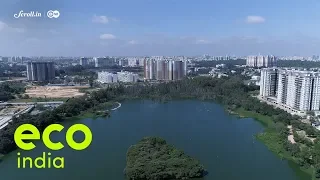 Eco India: Bengaluru is witnessing a transformation, one lake at a time