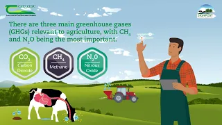 Understanding Greenhouse Gas Emissions on Irish farms