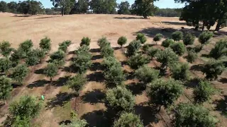 Farm Flyover