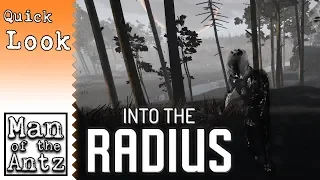 Creepy Survival Horror; Stalker In VR? | Into The Radius VR - Quick Look