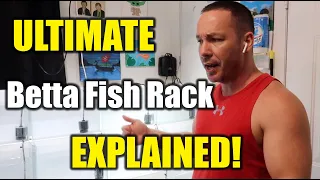 The king of DIY EXPLAINS the ULTIMATE Betta Fish Rack in more DETAIL - ADayWithT