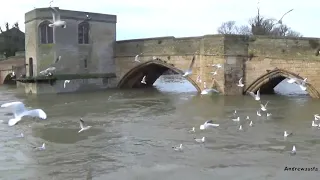 Floods  - St.Ives, Cambridgeshire 22/12/2019