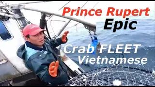 North West Coast Commercial Crab fishing, Prince Ruperts Epic Vietnamese Crab Fleet!