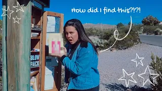 📚✨Little Free Library Vlog: New Mexico Edition *this one is INSANE, unhauling my books*