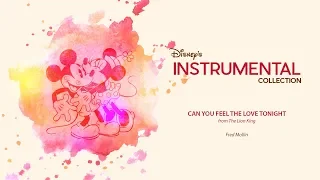 Disney Instrumental ǀ Fred Mollin - Can You Feel The Love Tonight