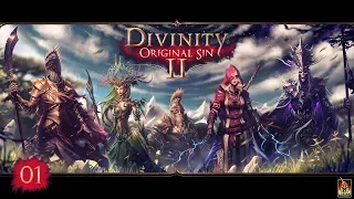 Divinity Original Sin 2 #01 - Presentación | Gameplay Español