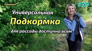 Универсальная подкормка для рассады Огурцов Помидор Баклажан Перцев. @galabum