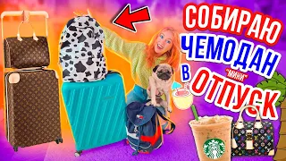 СОБИРАЮ ЧЕМОДАН В ОТПУСК😍👉ЧТО МЫ БЕРЕМ В ДОРОГУ с 2 СОБАКАМИ!?🐶