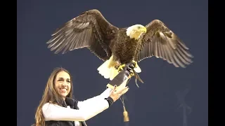 Challenger Flies at NFC Championship Game Jan. 21, 2018