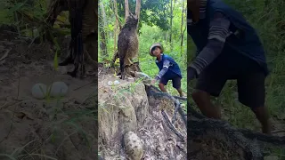 A young man see Eagle and turtle in the forest part 01. #eagles #birds #nature #animals #wildlife