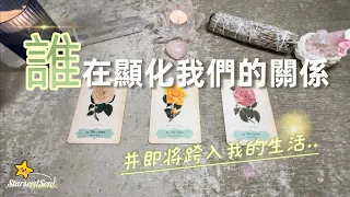 💜塔羅占卜| ⏳倒計時：誰正在顯化我們的關係 並即將跨入我的生活？| 宇宙的建議和指引(Timeless)