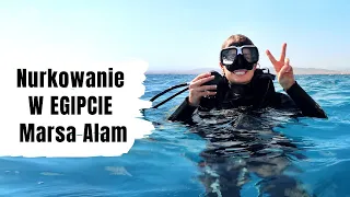 Najlepsze NURKOWANIE I SNORKELING W EGIPCIE Marsa Alam 2021