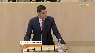 Hannes Amesbauer - Asyl und Lehre, Integration vor Zuzug - 24.10.2018