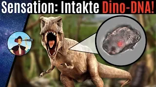 Erste Dino-DNA gefunden! Wird Jurassic Park jetzt möglich? (2020)