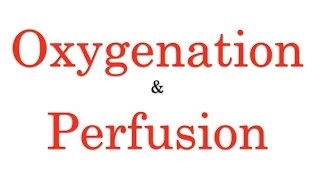 Oxygenation & Perfusion