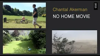 NO HOME MOVIE (2015) by Chantal Akerman, Clip: Desert/Brussels