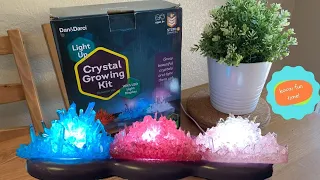 Crystal Growing Kit | Growing Crystals | Easy DIY Science Experiments For Kids to do at home