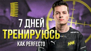 7 ДНЕЙ ТРЕНИРОВАЛСЯ в КС ГО КАК PERFECTO и ВОТ ЧТО ВЫШЛО... (2023)