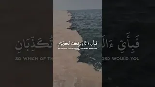 مَرَجَ الْبَحْرَيْنِ يَلْتَقِيَانِ | ياسر الدوسري