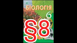 8 "Спільні ознаки рослинної і тваринної клітин"//6 клас Біологія//Костікова