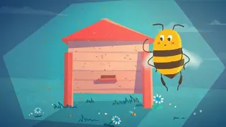Цікаві факти  Бджоли