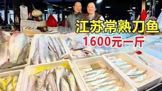 Jiangsu Changshu eats saury  large saury 1600 pieces a kilo  and saury makes wonton with stuffing