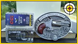 Mighty Mouse or Tiny Tim? NAA .22lr Mini Revolver Ballistic Gel Test! Federal Punch Vs CCI Stingers.
