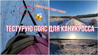 ПОЯС ДЛЯ КАНИКРОССА | ПРОГУЛКА С СОБАКОЙ В ПОЛЕ