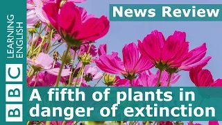 A fifth of plants in danger of extinction: BBC News Review