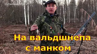 На вальдшнепа с манком #3 охота на вальдшнепа