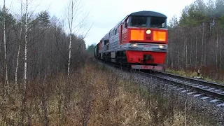 Поезда осенью, Псковский район, Кеб – Берёзки