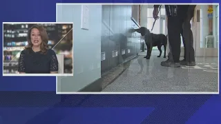 Drug-sniffing dogs will begin patrolling Loudoun Co. schools